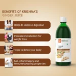 Krishna’s Herbal And Ayurveda Ginger Juice – 1000 ML1