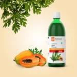 Krishna’s Herbal And Ayurveda Papaya Leaf Juice – 1000 ML
