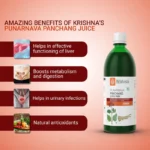 Krishna’s Herbal And Ayurveda Punarnava Panchang Juice – 1000 ML