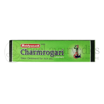 Baidyanath Charmrogari Ointment – 15GM