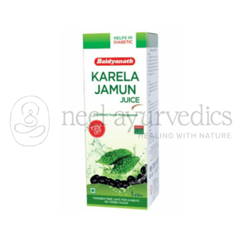 Baidyanath Karela Jamun Juice – 1000ml