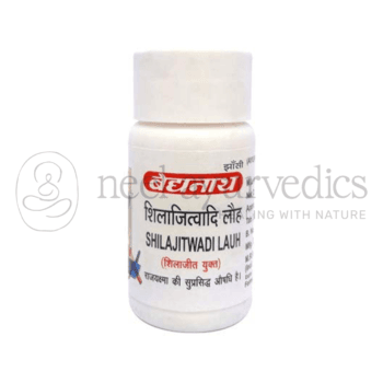 Baidyanath Shilajitwadi Lauh – 40 Tablets