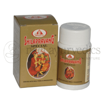 Dhootapapeshwar Shilapravang Special