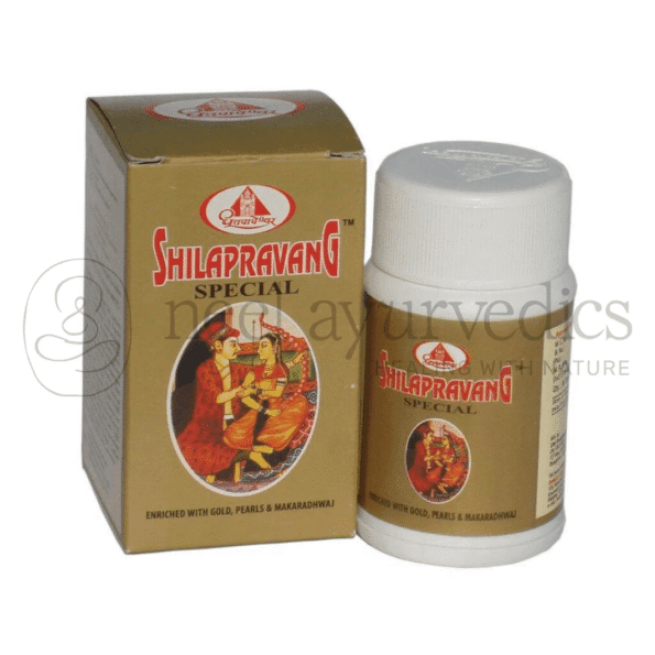 Dhootapapeshwar Shilapravang Special