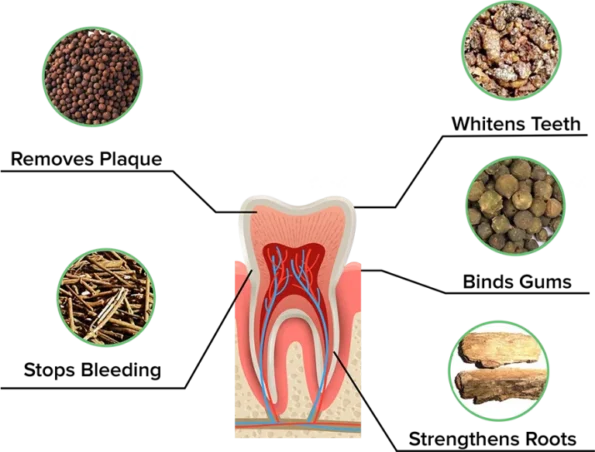 Ingredients-768x584-1