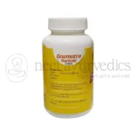 Lion Goumutra Haritaki Tablet – 100 Tab