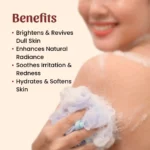Neel Ayurvedics Rose Soap 1