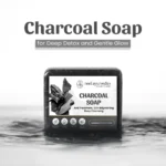 Neel Ayurvedics Soap Mockup 1 (2)