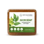 Neel Ayurvedics Neem Savon