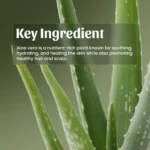 Neel Ayurvedics Aloevera Gel Mockup 1 (5)