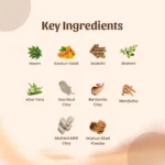 Neel Ayurvedics Herbal Powder facewash